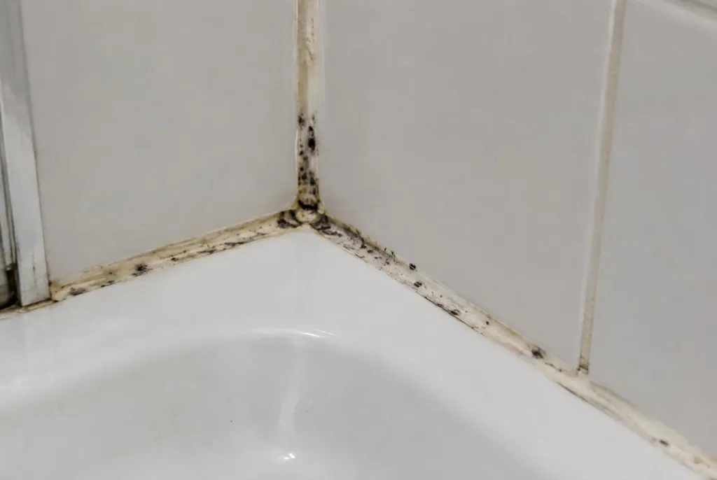 Kitbedrijf Oosterbeek – beschimmelde kitranden